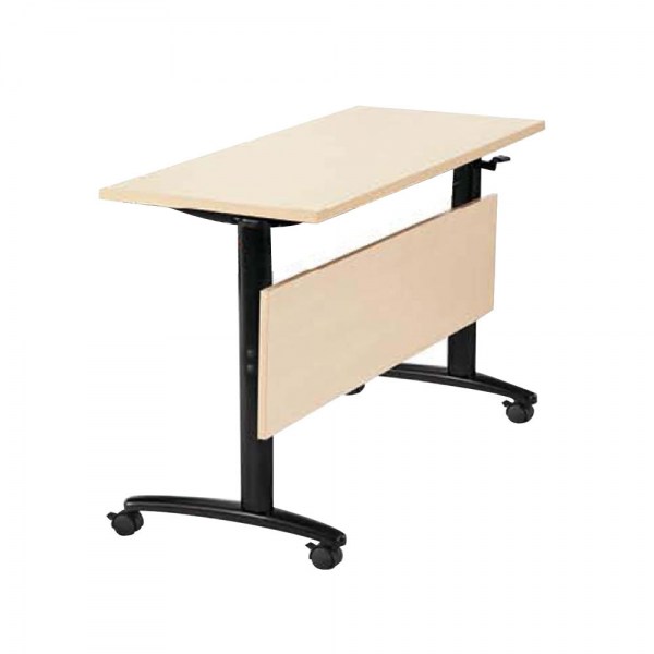 Folding Table with Modesty